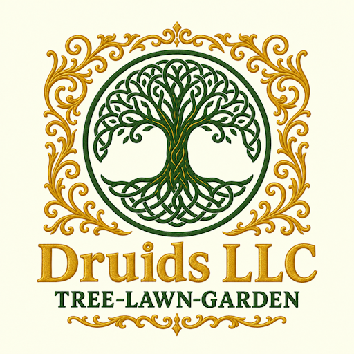 Druids LLC